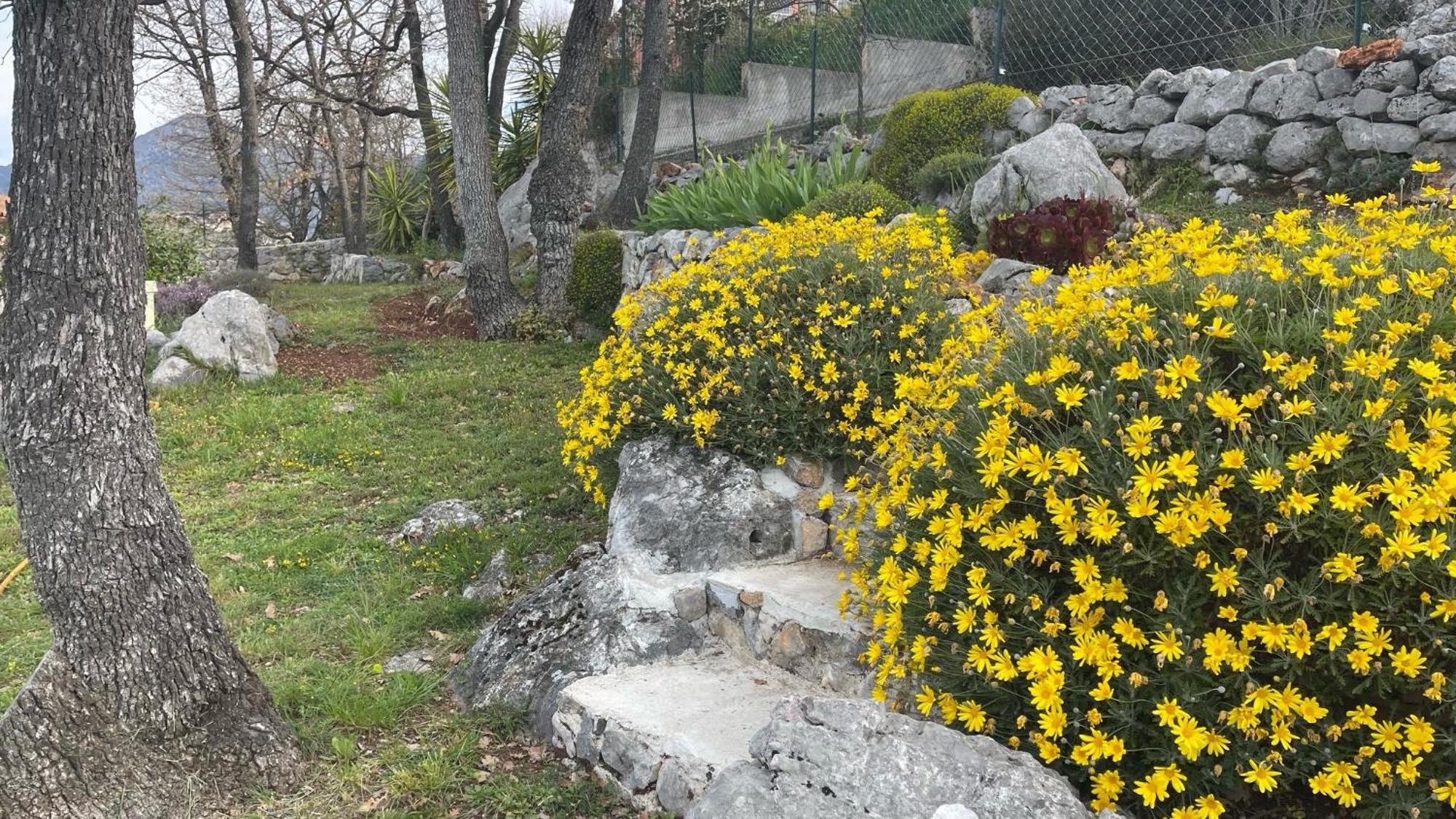 Rez De Jardin, Entre Mer Et Montagne Levens Exterior foto